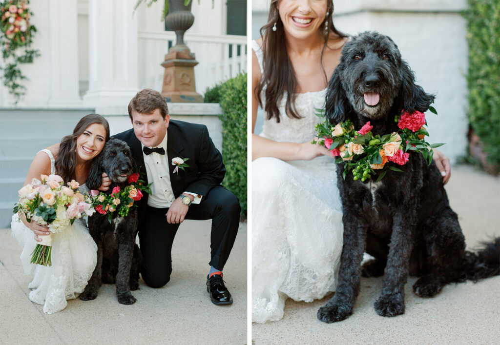 Dog at a wedding at The Colonnade House in Columbus, MS