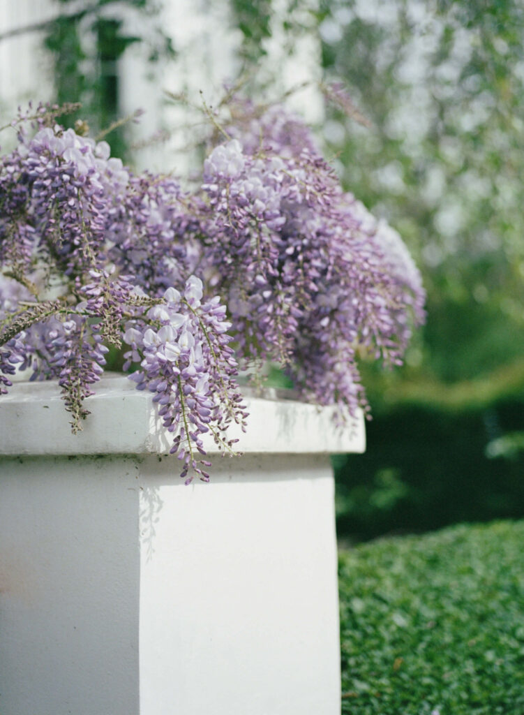 Kensington, London, shot on Portra 400 film