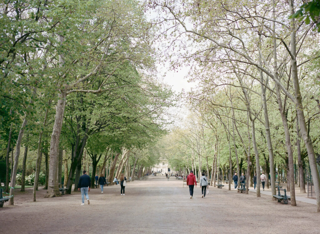 Jardin du Luxembourg on Portra 400 film