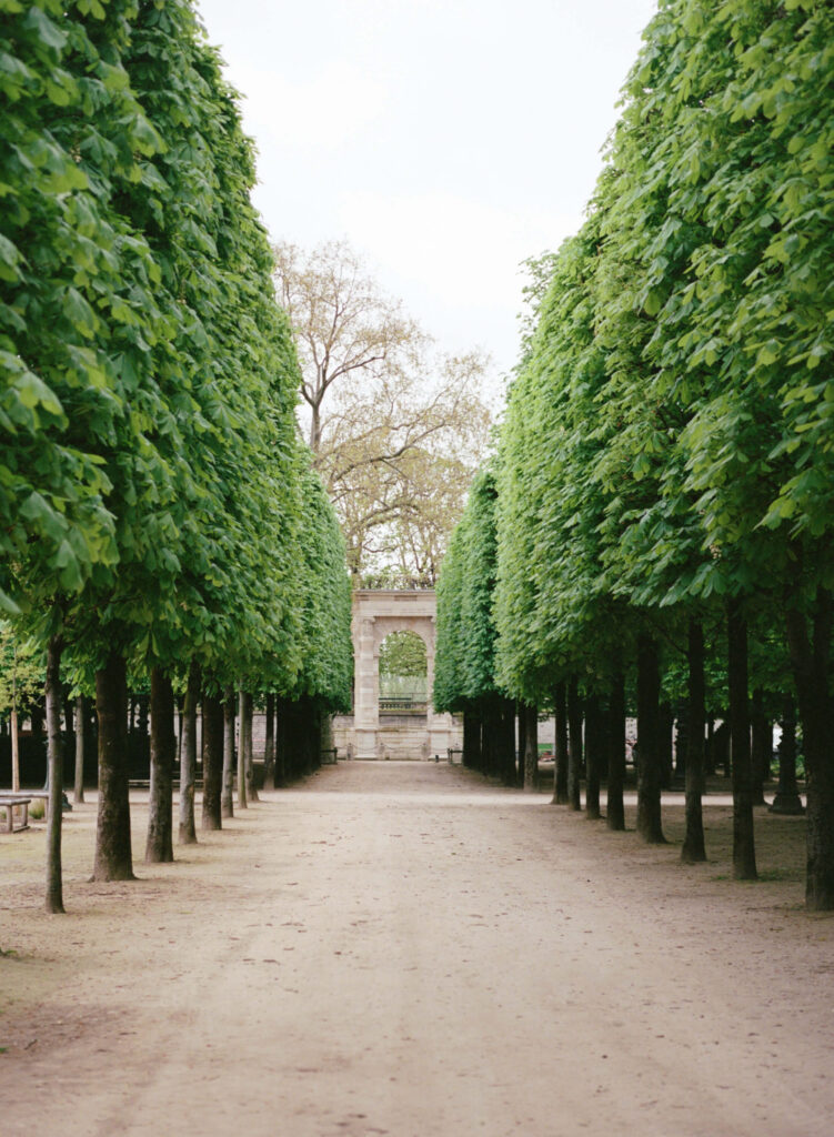Paris on Portra 400 film