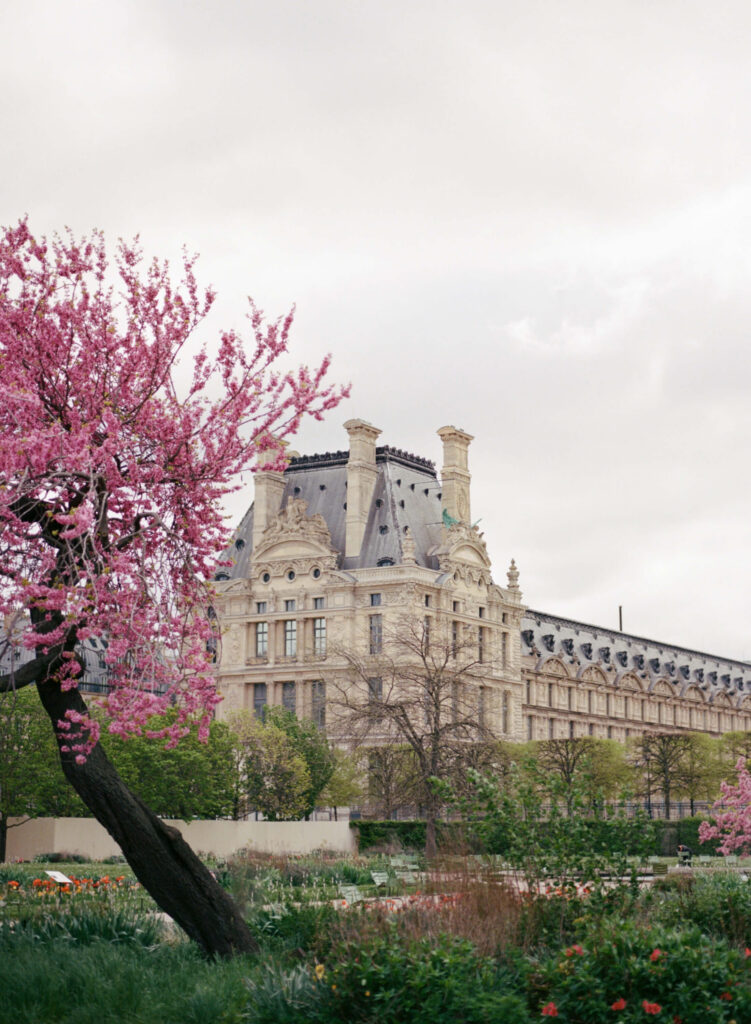 Louvre Paris on Portra 400 film